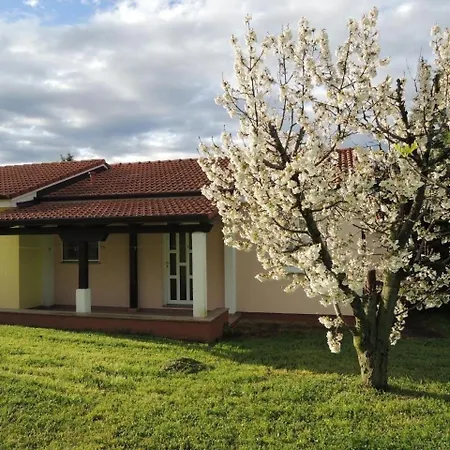 Mit Pool Und Garten In Casa de Férias