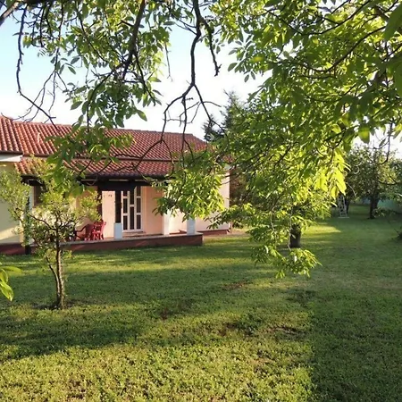 Mit Pool Und Garten In * Porec